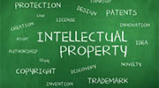 Zambia intellectual property rights investigator